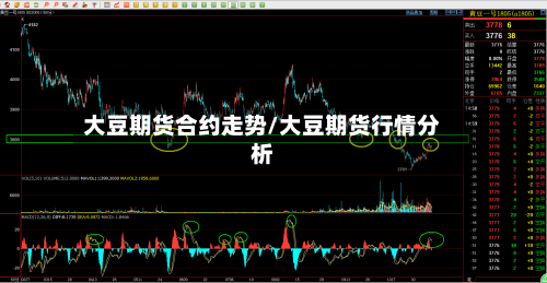 大豆期货合约走势/大豆期货行情分析-第2张图片