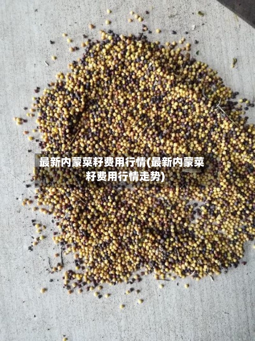 最新内蒙菜籽费用行情(最新内蒙菜籽费用行情走势)-第2张图片