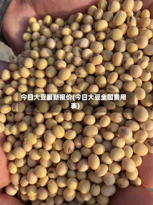 今日大豆最新报价(今日大豆全国费用表)
