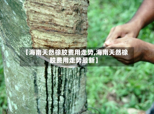 【海南天然橡胶费用走势,海南天然橡胶费用走势最新】