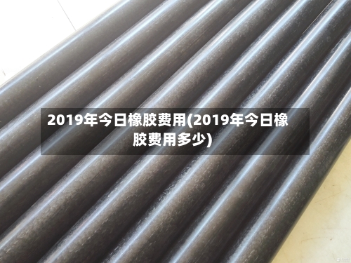 2019年今日橡胶费用(2019年今日橡胶费用多少)