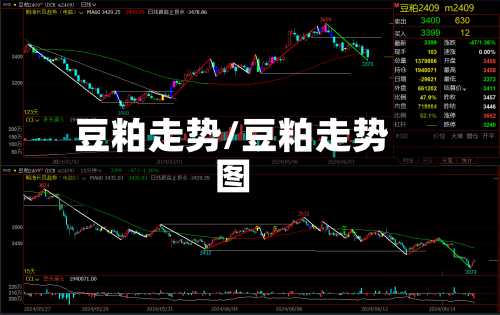 豆粕走势/豆粕走势图-第3张图片