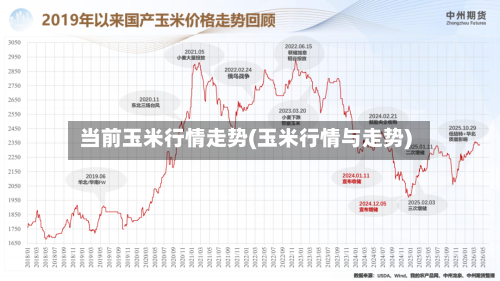 当前玉米行情走势(玉米行情与走势)-第2张图片