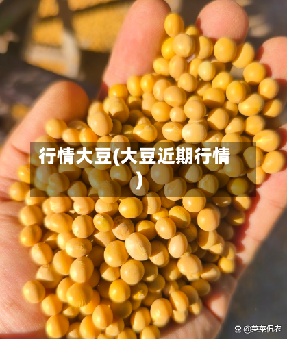 行情大豆(大豆近期行情)