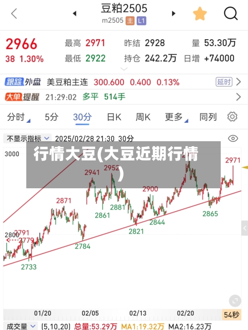 行情大豆(大豆近期行情)-第2张图片