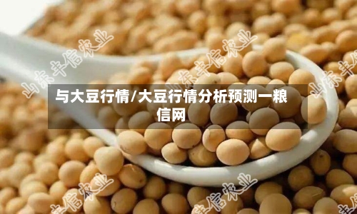 与大豆行情/大豆行情分析预测一粮信网