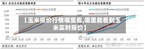 【玉米报价行情哪里看,哪里能看到玉米实时报价】-第3张图片