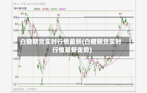 白糖期货实时行情最新(白糖期货实时行情最新走势)-第3张图片