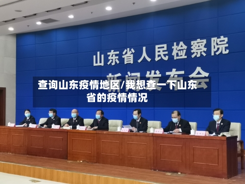 查询山东疫情地区/我想查一下山东省的疫情情况
