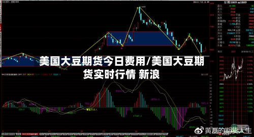 美国大豆期货今日费用/美国大豆期货实时行情 新浪-第2张图片