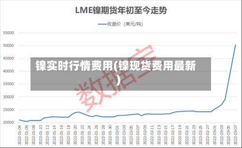 镍实时行情费用(镍现货费用最新)