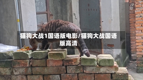 猫狗大战1国语版电影/猫狗大战国语版高清