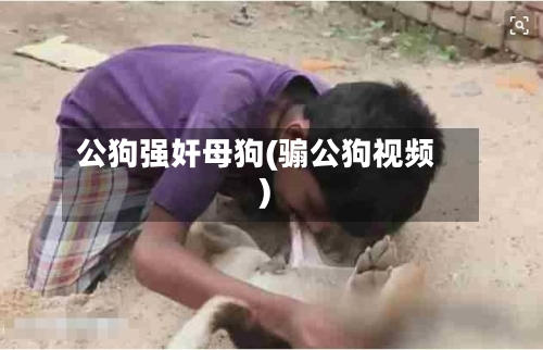 公狗强奸母狗(骟公狗视频)