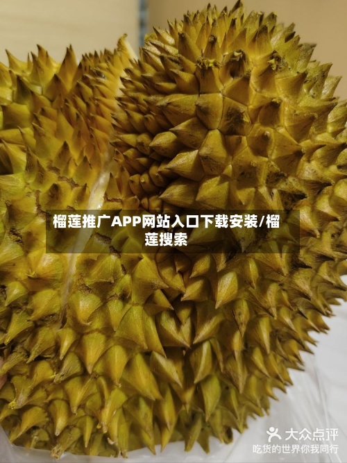 榴莲推广APP网站入口下载安装/榴莲搜索