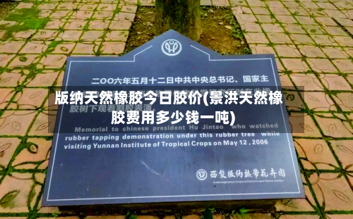 版纳天然橡胶今日胶价(景洪天然橡胶费用多少钱一吨)